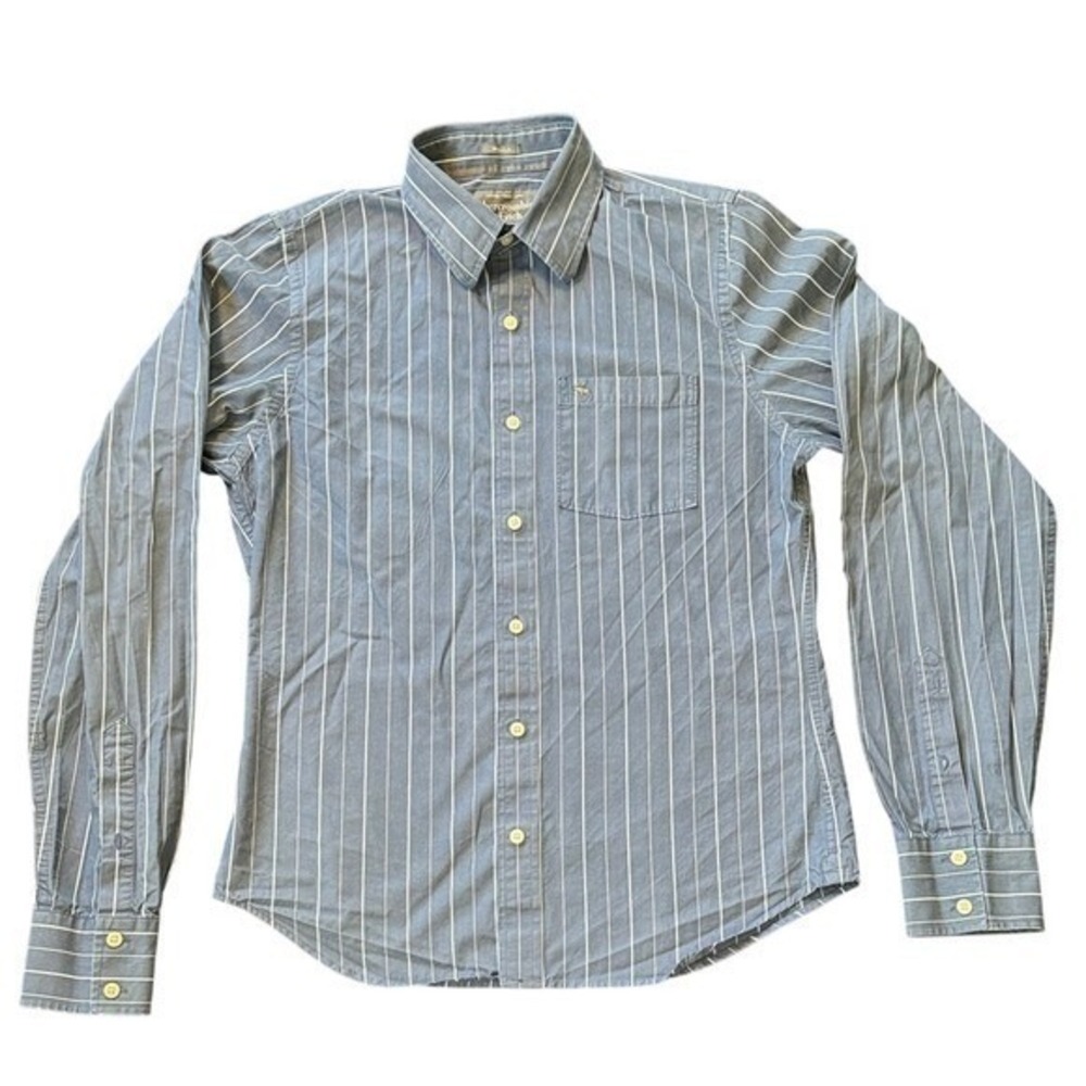 Abercrombie & Fitch Mens Muscle Fit Striped Button Down Shirt Blue White Large